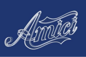 Amici Vip, da settembre su Mediaset senza Maria De Filippi alla conduzione